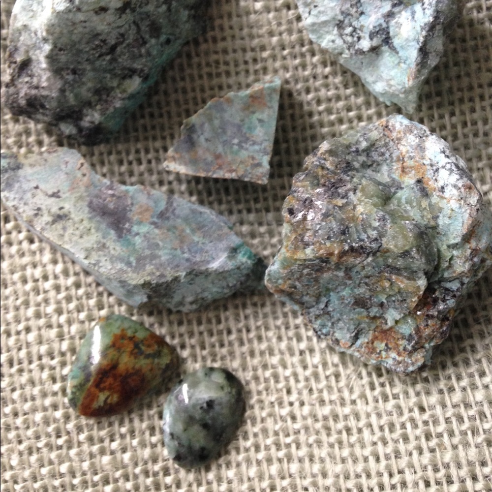 Meet your Posher, Lori